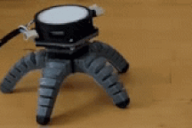 Dùng tế bào nấm điều khiển robot