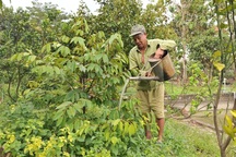 Thiếu tướng về hưu lặn lội xây dựng hơn 1.000 căn nhà cho đồng đội