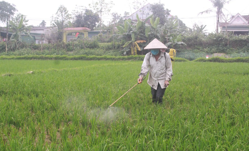An toàn lao động trong nông nghiệp nhìn từ giải pháp phối hợp của 3 Bộ - 1 An toàn lao động trong nông nghiệp nhìn từ giải pháp phối hợp của 3 Bộ - 1