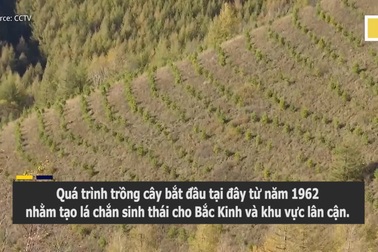 Ba thế hệ "tay không" suốt 60 năm biến sa mạc… thành rừng