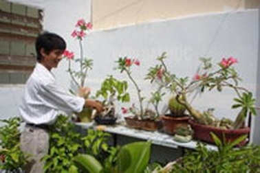 Buồn cho những “chung cư” văn chương 