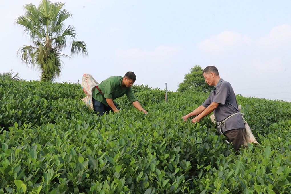 Hỗ trợ toàn diện, đời sống của người nghèo từng bước được cải thiện - 3 Hỗ trợ toàn diện, đời sống của người nghèo từng bước được cải thiện - 3