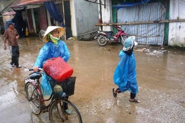 Khẩn trương đưa 8 ngư dân mắc kẹt vào bờ   