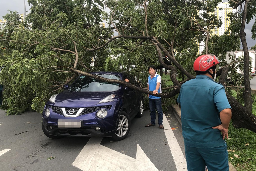 TPHCM: Gió lốc quật ngã hàng loạt cây xanh, đổ đè nhiều ô tô trên đường - 3 TPHCM: Gió lốc quật ngã hàng loạt cây xanh, đổ đè nhiều ô tô trên đường - 3