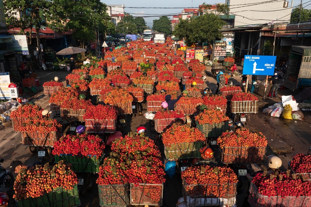 Cảnh tắc đường dài vài ki-lô-mét mùa vải thiều Lục Ngạn chín rộ ở Bắc Ninh - 1 Cảnh tắc đường dài vài ki-lô-mét mùa vải thiều Lục Ngạn chín rộ ở Bắc Ninh - 1