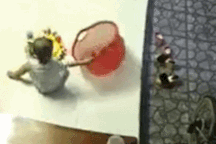 Khoảnh khắc rắn ẩn nấp trong đống đồ chơi bất ngờ tấn công em bé