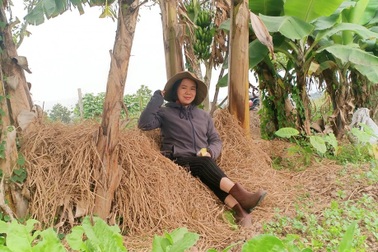 Bỏ phố về quê làm bột rau, 8X Hải Phòng thu tiền tỷ mỗi năm