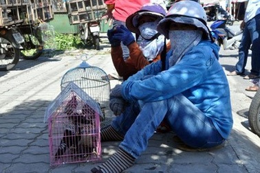 Chợ "độc" ở Đà Thành: Chợ chim