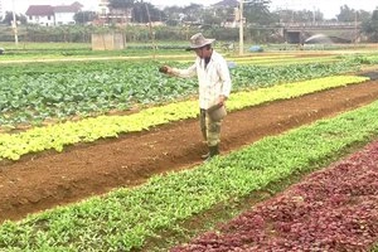 Đối tượng và điều kiện được hỗ trợ ổn định đời sống và sản xuất