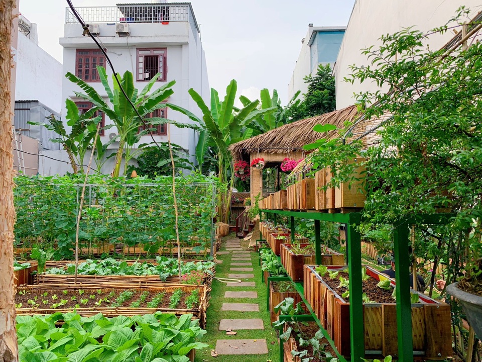 Bỏ 50 triệu đồng cải tạo vườn chuối thành khu sinh thái trong mơ - 1 Bỏ 50 triệu đồng cải tạo vườn chuối thành khu sinh thái trong mơ - 1