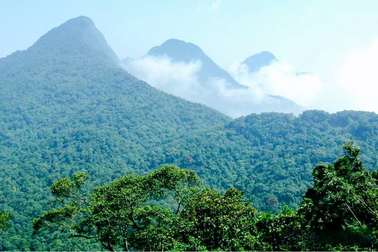 Chuyên gia lên tiếng về việc "xén" đất Vườn quốc gia Tam Đảo làm dự án