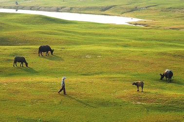 Quảng Nam: Hồ Phú Ninh mùa nước cạn đẹp như tranh vẽ