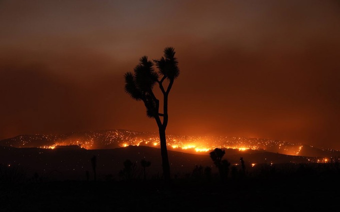 Mỹ: Cháy rừng hoành hành bang California gần nửa tháng