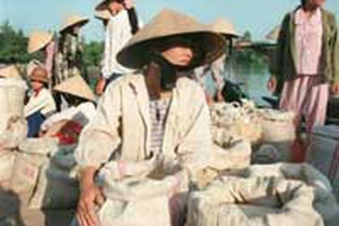 Xuất khẩu gạo tăng mạnh