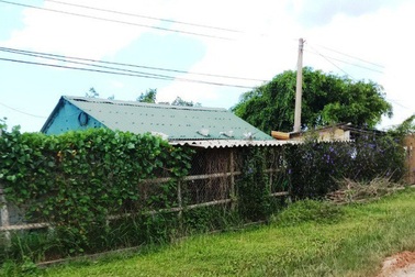 Quảng Bình: Được giao đất trồng lúa, Phó chủ tịch xã xây chuồng trại chăn nuôi vịt