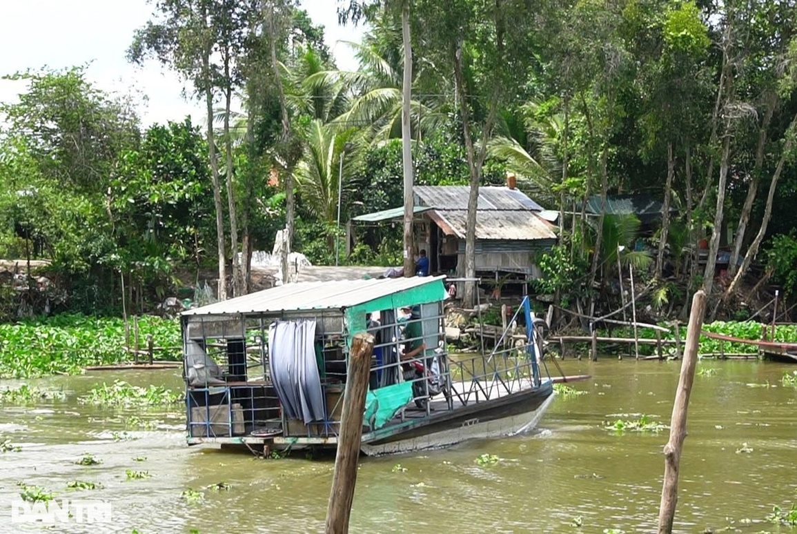 Đàn cá hàng nghìn con đua nhau kéo đến tá túc ở bến đò xin ăn - 2 Đàn cá hàng nghìn con đua nhau kéo đến tá túc ở bến đò xin ăn - 2