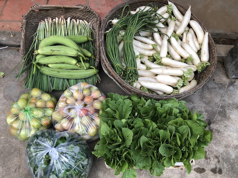 Mạnh dạn trồng 2000m2 rau hữu cơ, chàng trai 27 tuổi hút khách mua tận vườn - 8