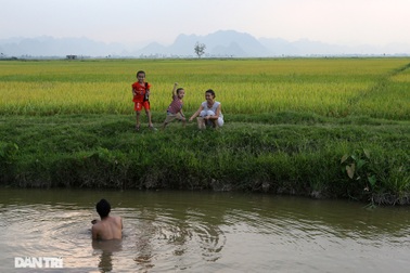 Bình yên những chiều quê ở ngoại thành Hà Nội