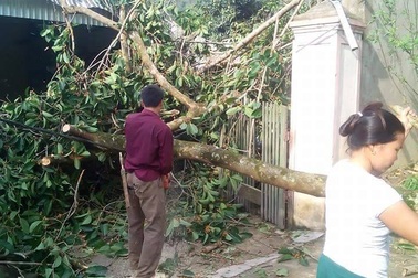 Lốc xoáy, nhà sập, 5 bà cháu thoát chết