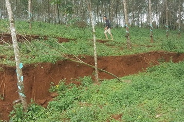 Sụt lún, sạt lở cạnh hồ bùn đỏ Nhà máy Alumin Đắk Nông