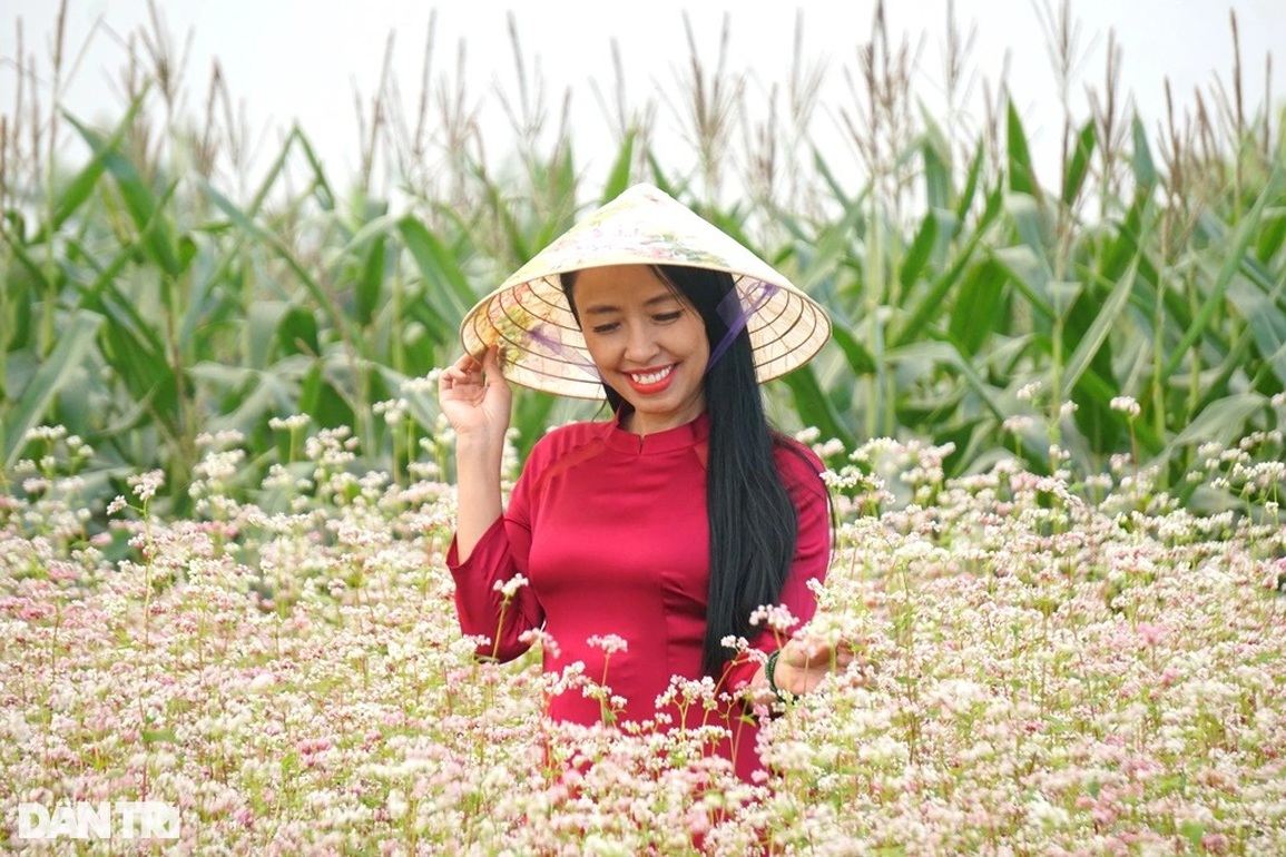 Cán bộ công an về hưu kiếm tiền triệu mỗi ngày từ cánh đồng hoa ven sông - 8 Cán bộ công an về hưu kiếm tiền triệu mỗi ngày từ cánh đồng hoa ven sông - 8