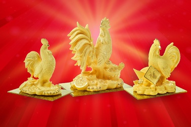 Gà trống vàng độc, lạ được “săn” trước ngày Thần Tài