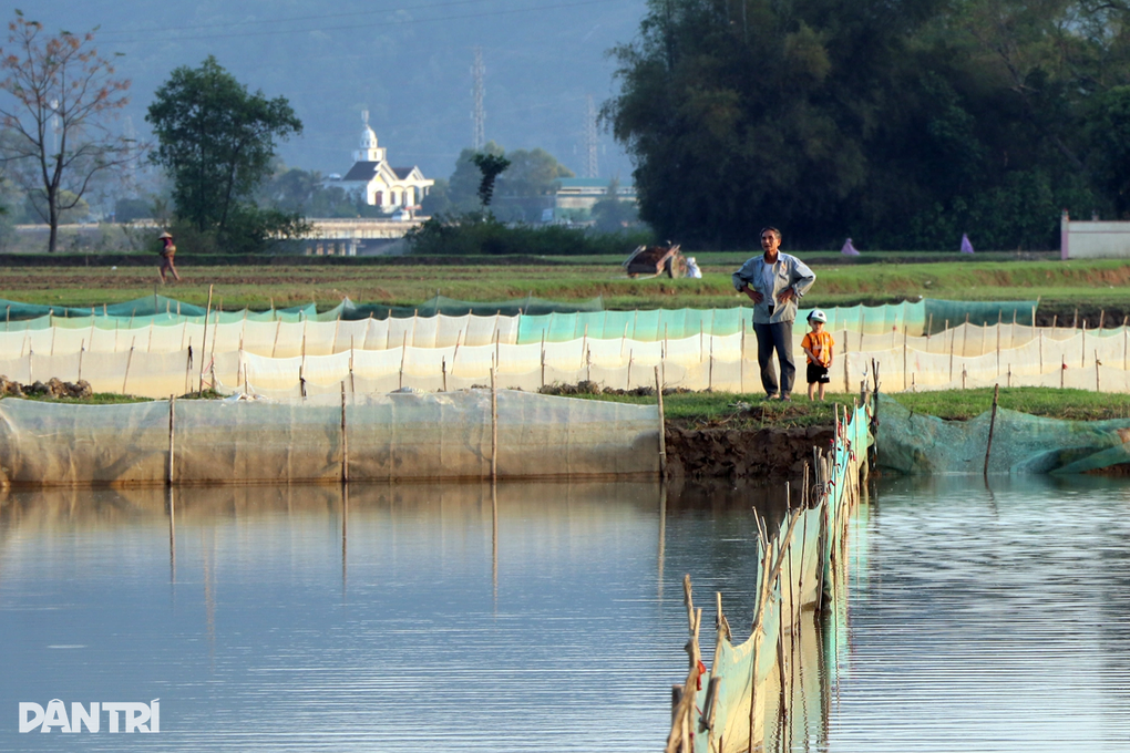 Nông dân rào ruộng, đỏ mắt trông trăng, chờ đất mọc lộc - 7 Nông dân rào ruộng, đỏ mắt trông trăng, chờ đất mọc lộc - 7