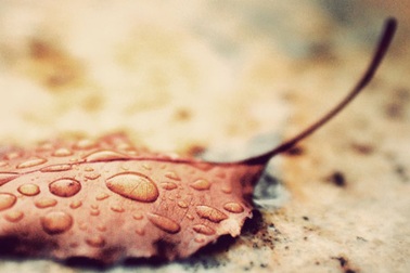 Ký ức mùa Đông