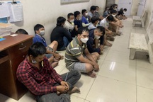 Phá trường gà trong bãi lau sậy rậm rạp ở vùng ven TPHCM