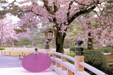 Cơ hội giành học bổng toàn phần tại xứ "Mặt trời mọc"