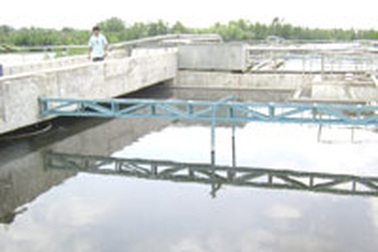 Công ty Hào Dương còn vi phạm luật lao động