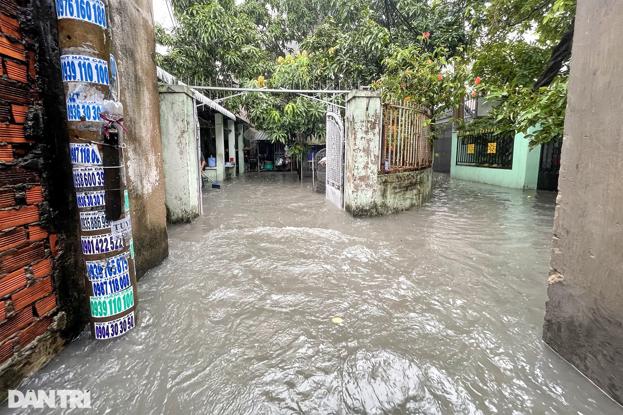 Kinh hoàng con hẻm giữa Sài Gòn, cứ mưa là nước chảy vào nhà như thác lũ - 10 Kinh hoàng con hẻm giữa Sài Gòn, cứ mưa là nước chảy vào nhà như thác lũ - 10