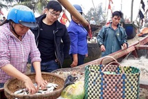 Thanh Hoá: Ngư dân đón “lộc biển” đầu năm
