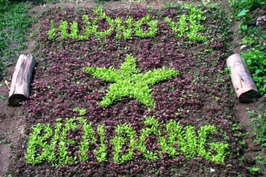 Độc đáo vườn rau tuyên truyền chủ quyền biển đảo