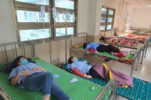 Vụ 82 công nhân nhập viện: Món nấm xào nhiễm vi khuẩn Bacillus cereus