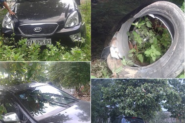 Ô tô "đại náo" như... phim hành động