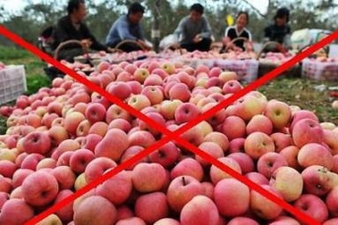 "Thoát Trung": Nhập từ cái tăm..., có lợi ích nhóm không? 