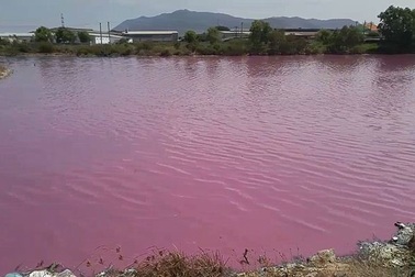 Nước trong hồ lớn bất ngờ đổi thành... màu hồng