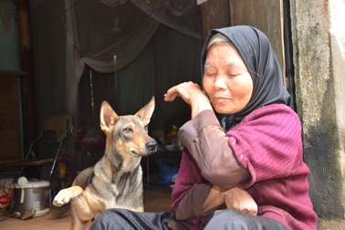 Chú chó thông minh nhiều lần cứu mạng cụ bà bị liệt chăm con bại não