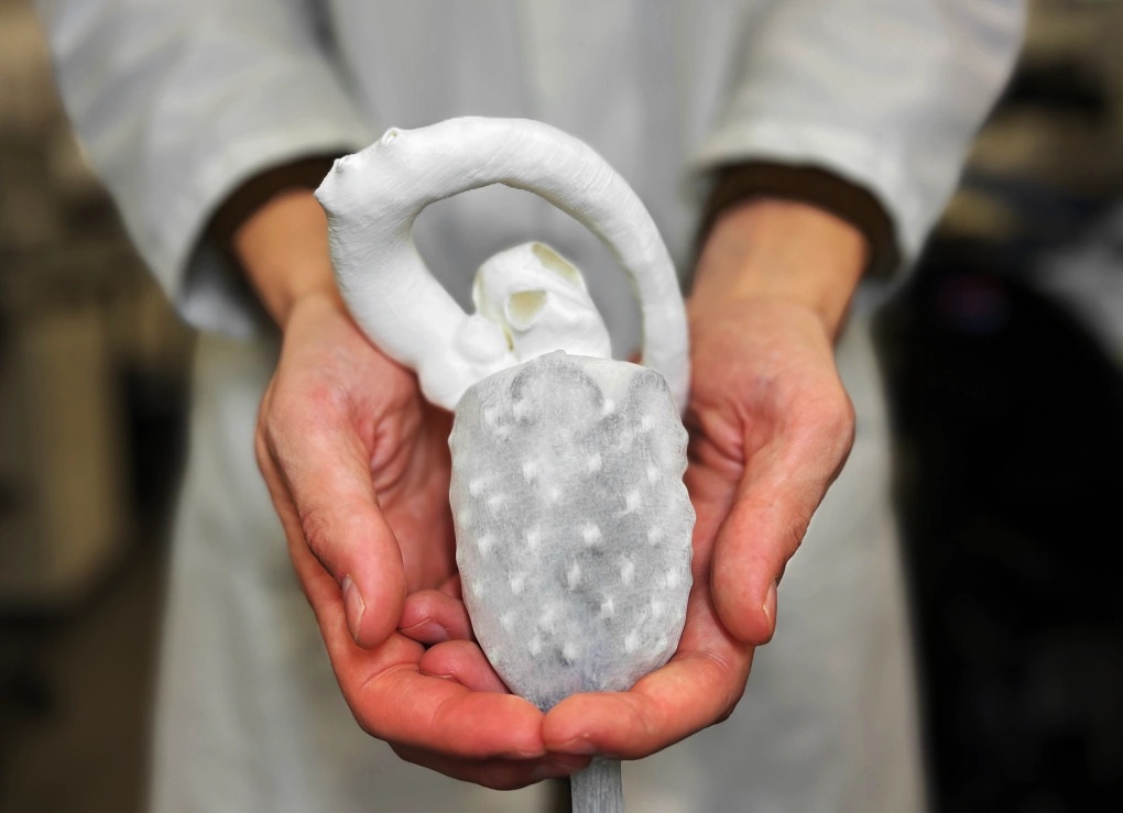 Những công nghệ hứa hẹn đột phá tương lai tại sân khấu VinFuture 2025 - 2