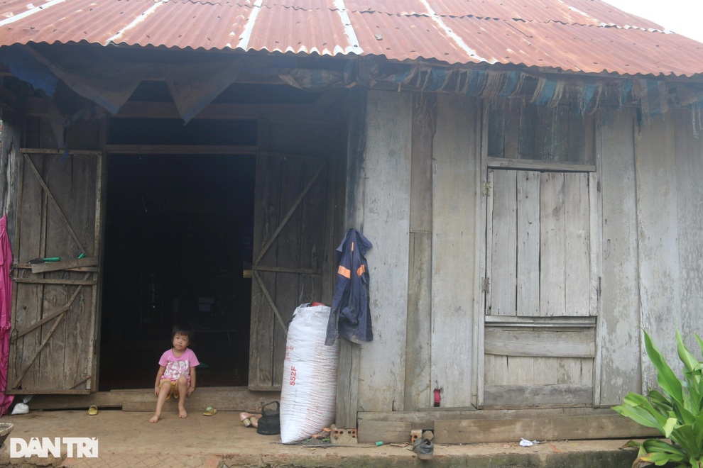 Không bố, mẹ thoi thóp đợi Không bố, mẹ thoi thóp đợi