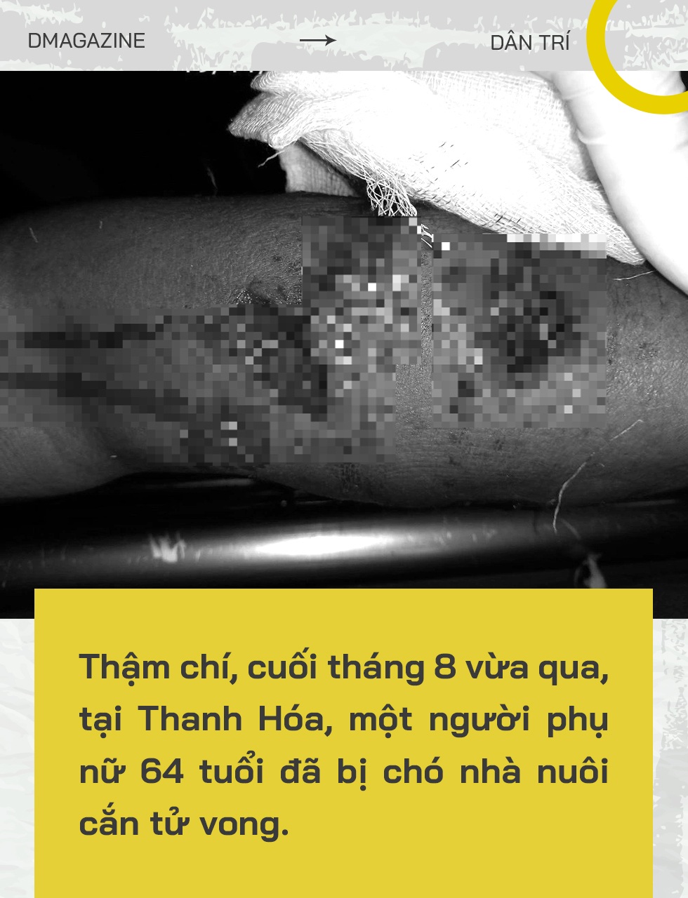 Nhát cắn đoạt mạng: Chết oan vì chó thả rông, thú cưng hóa điên phản chủ - 6 Nhát cắn đoạt mạng: Chết oan vì chó thả rông, thú cưng hóa điên phản chủ - 6