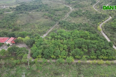 Công viên động vật hoang dã quốc gia bỏ hoang, chờ "giải cứu"