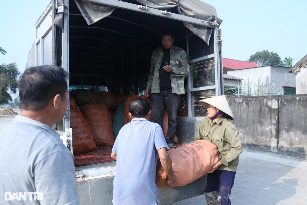 Trồng loại cây thân leo chi phí thấp, nông dân hốt bạc - 5 Trồng loại cây thân leo chi phí thấp, nông dân hốt bạc - 5