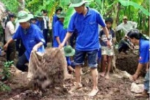 Đưa nội dung Bảo vệ môi trường vào giảng dạy
