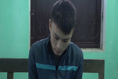 Bắt 2 đối tượng gây 8 vụ trộm hơn nửa tỷ đồng