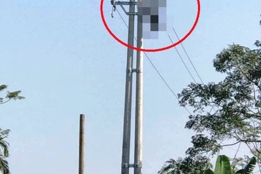 Phát hiện người đàn ông tử vong trên đường dây điện hạ thế