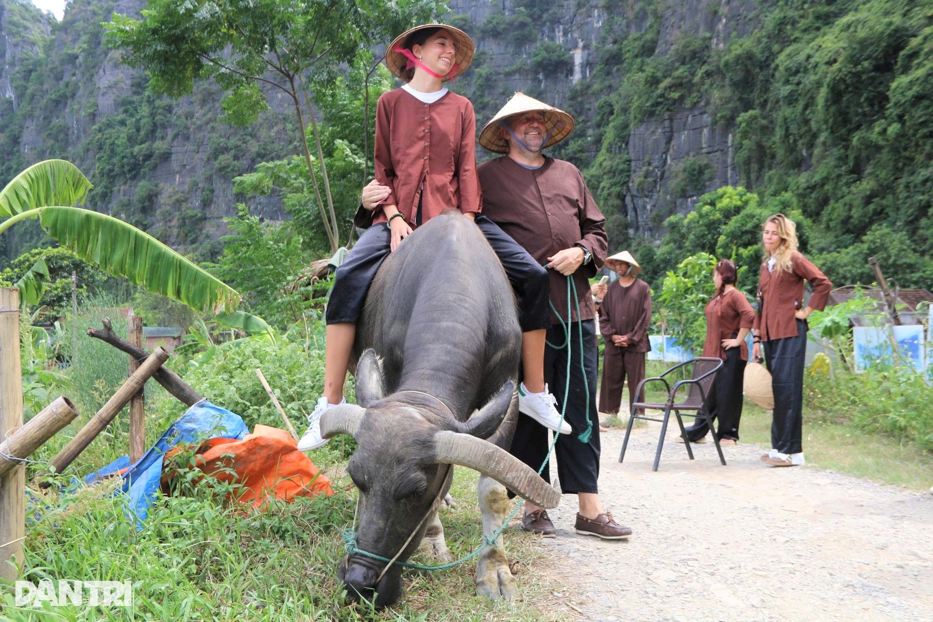 Khách Tây chi tiền triệu để cưỡi trâu, cấy lúa ở Ninh Bình - 1 Khách Tây chi tiền triệu để cưỡi trâu, cấy lúa ở Ninh Bình - 1