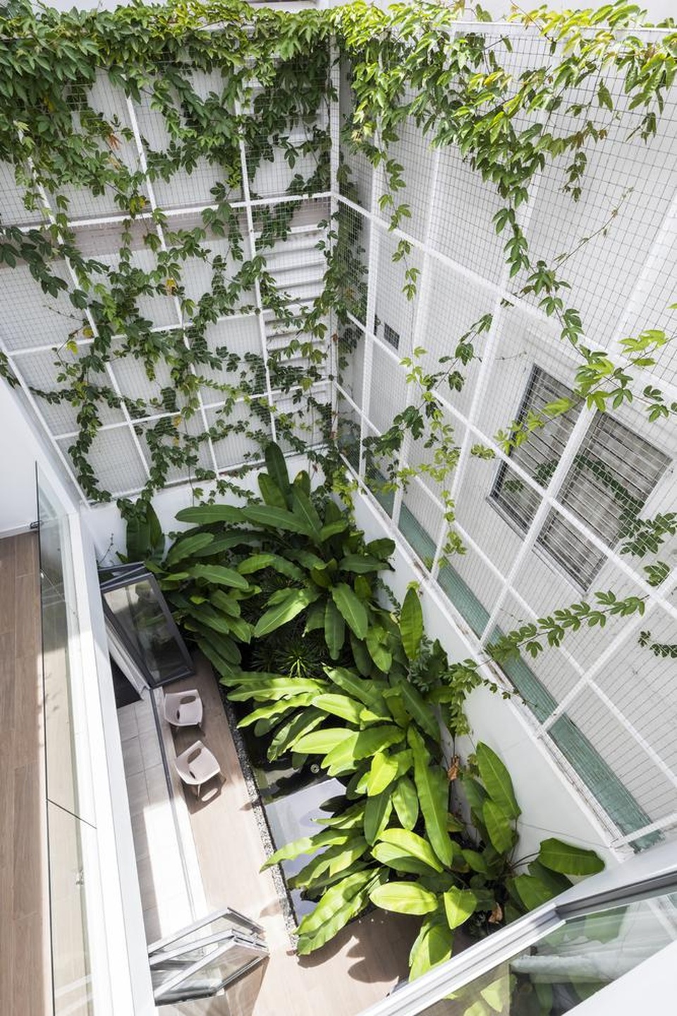 Biệt thự hơn 200m2 với khu vườn xanh như rừng nhiệt đới ở Sài Gòn - 7