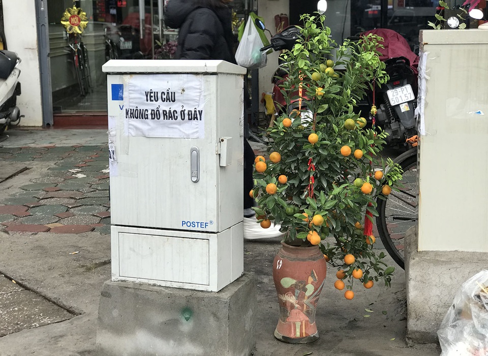 Hết Tết, cành đào tiền triệu đổi vận biến thành củi khô - 3 Hết Tết, cành đào tiền triệu đổi vận biến thành củi khô - 3